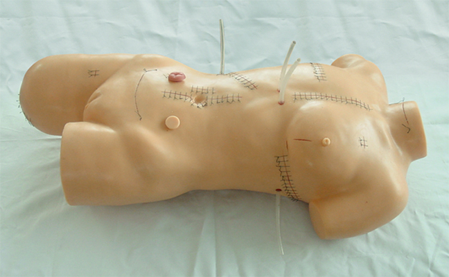 外科縫合包紮展示模型